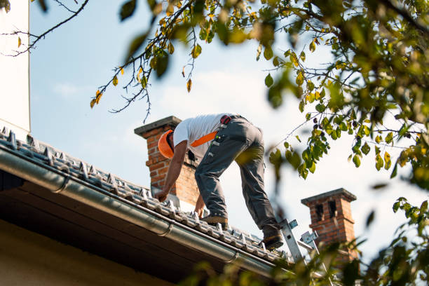 Reliable Front Royal, VA Roofing Contractor Solutions