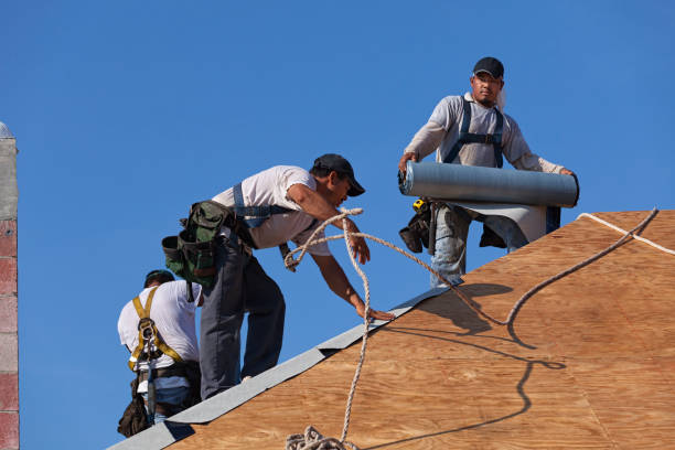 Best Commercial Roofing Services  in Front Royal, VA